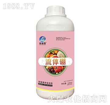 ���w��-ؐ�G��