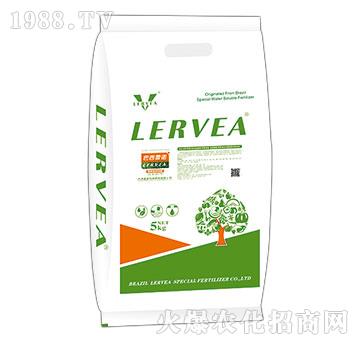 ������طN��11-5-44+TE-���Z