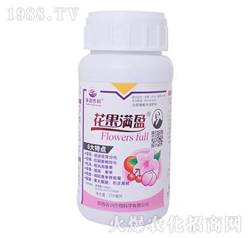 �����Mӯ-�ȝ�����