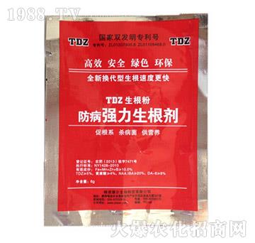 ������(qi��ng)��������-� �����