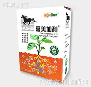 �S������ЙC��-�ڬ�����������-�S(li��n)�r(n��ng)�I(y��)