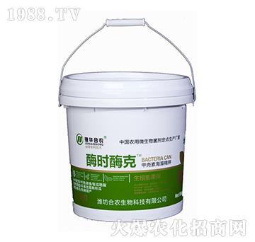 ø�r(sh��)ø��-���A���r(n��ng)