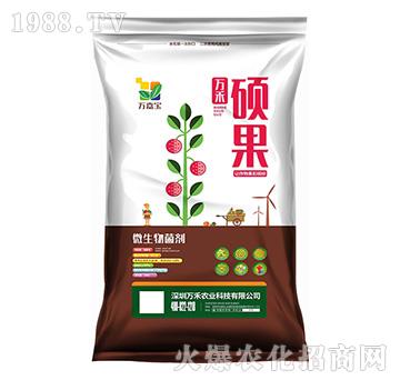 ΢�������-�f�̴T��-�f�Ό�-�f���r��