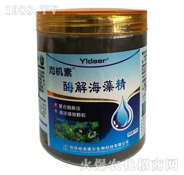 ø�⺣�徫-���C(j��)��-��?t��ng)����? />
                                </div>
                            </div>
                            
                            <style type=