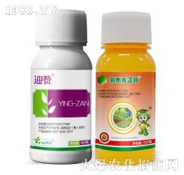 �˹����ۙ�M��-�˹����