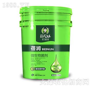 �������~��΢�������-�흙(r��n)-�����