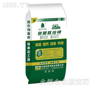 ��̼�����@�-ɏԴ��