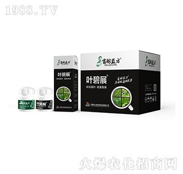 ����������-�~��չ�ײ�-�Gʿ��