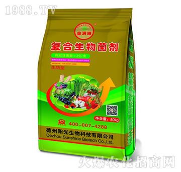 �����͏ͺ��������-��M��-ꖹ�����