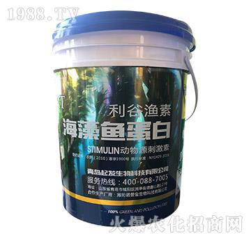 �����~(y��)����-���ȝO��-��l(f��)����