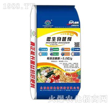 ΢�������-��@�ʘI(y��)