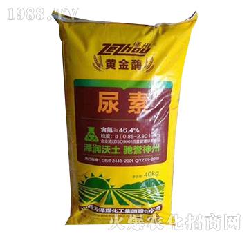 ����-�S��ø-�ӻ�����