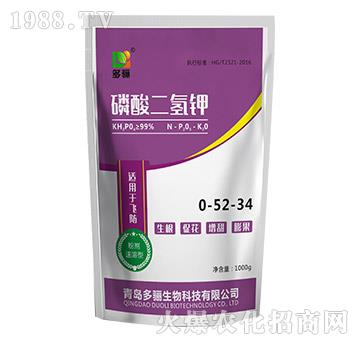 ��������0-52-34-���P����