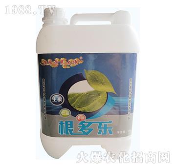 ������-���W����