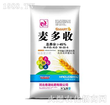 �����(f��)�Ϸ���18-22-5-������-�����t