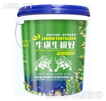 ����������-�@��Ԫ