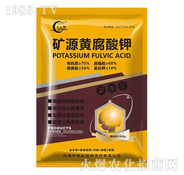 �VԴ�S�����-����t