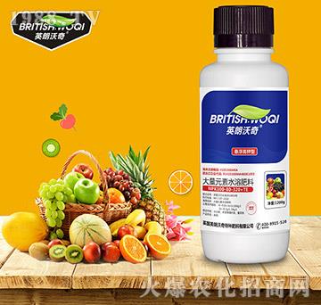 ����Ԫ��ˮ�ܷ�100-80-320+TE���Ҹ�����ͣ�-Ӣ������