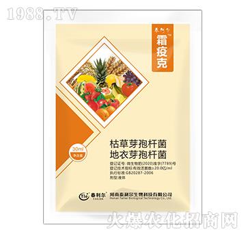 �ݲݡ�����ѿ�ߗU��-˪�߿�-̩����