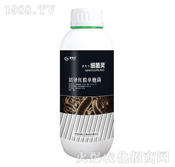 �ӝɼt�نΰ���-��(x��)���`-̩����