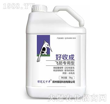 �w��������-���ճ�-�G��