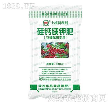 ������ʌ���-���}�V⛷�-�s��