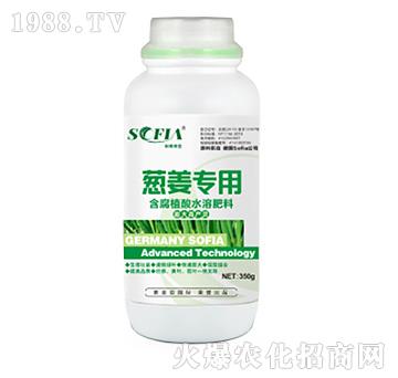 �[�����ú���ֲ��ˮ�ܷ���-���Ɓ�