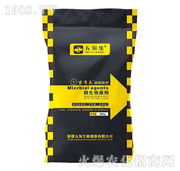 ��ֲ����΢�������-���(zh��n)��-������