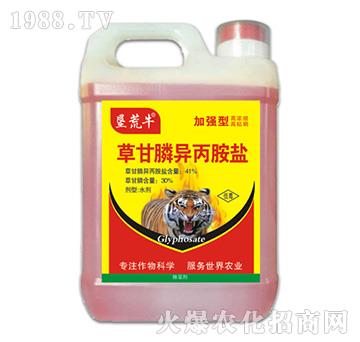 41%�ݸ�좮������}���ӏ�(qi��ng)�ͣ�-����ţ-�ݵ�˹