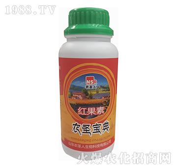 �rʥ����-�t����-�rʥ��