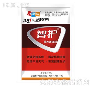 �I�B(y��ng)�{(di��o)�턩-���o-�o��