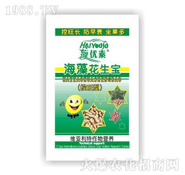 ���廨����-�S������