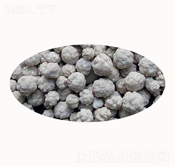 �����{���}-����ʘI(y��)