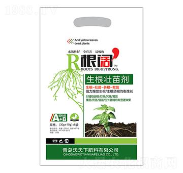 �������焩-���-������