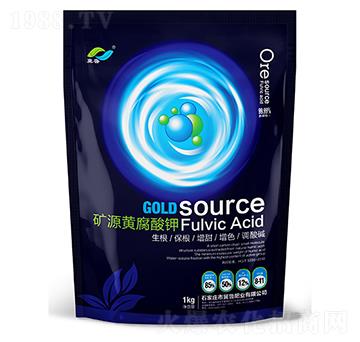 �VԴ�S�����-�����ʘI(y��)