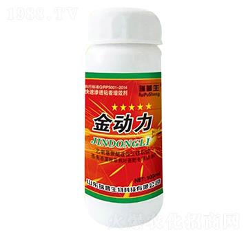 ������-��������