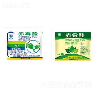 85%��ù��Y(ji��)����-��������