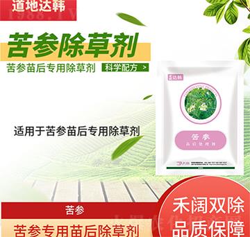 �������݄�-�������-������(zhu��n)��-���n