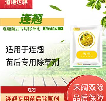 �B�N���݄�-�B�N���-�B�N��(zhu��n)��-���n