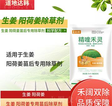 �����(y��ng)�ɽ����݄�-�����(y��ng)�ɽ����-�����(y��ng)�ɽ���(zhu��n)��-���n