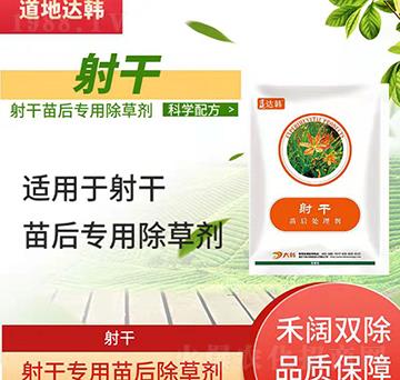 ��ɳ��݄�-��������Ɍ�(zhu��n)�á����n