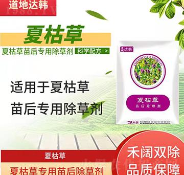 �Ŀݲݳ��݄�-�Ŀݲ����-�Ŀݲ݌�(zhu��n)��-���n