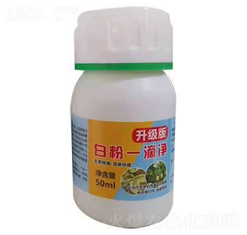 �׷�һ�΃�������-�Z������