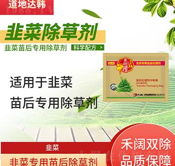 �²˳��݄�-�²����-�²ˌ���-����¡-���n