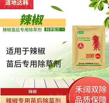 �������݄�-�������-��������-����-���n