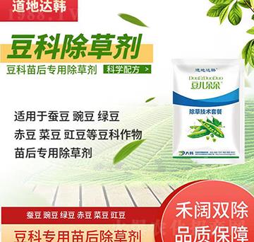 ���Ƴ��݄�-�������-���ƌ���-�������-���n