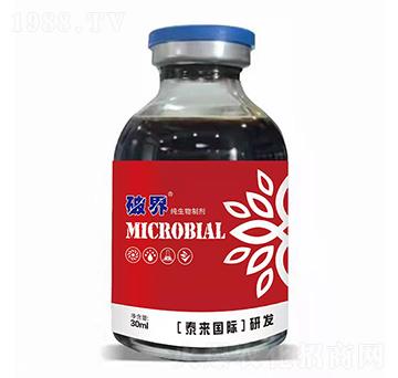 �������Ƅ�-�ƽ�-̩��(l��i)��(gu��)�H