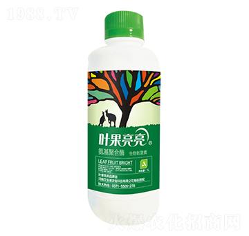 �����ۺ�ø-�~������-����(l��)��