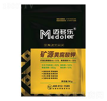 �VԴ�S�����-�~����(l��)