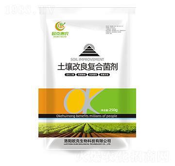 ����������(f��)�Ͼ���-�W�˻��r(n��ng)-�W������